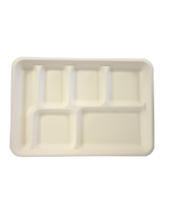 TL-16-1 6-Compartment Lunch Tray