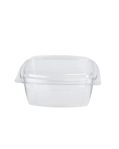 16-oz PLA Deli Rect Hinged Lid Container